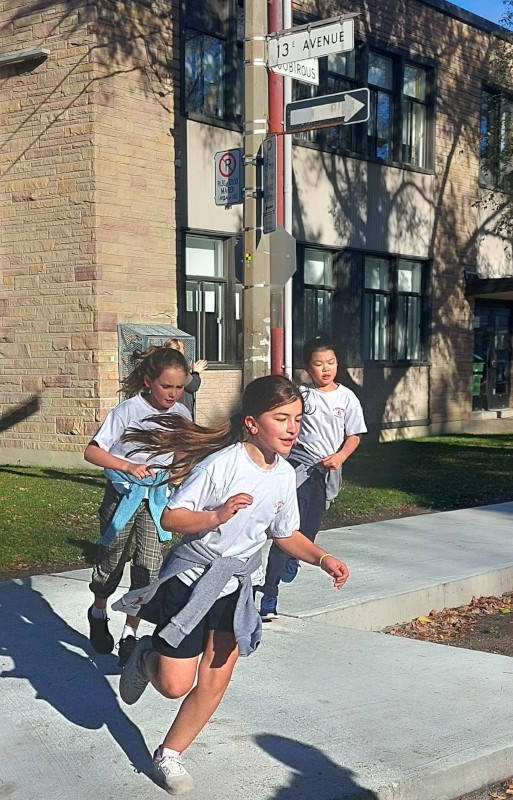 Cross country esa 1