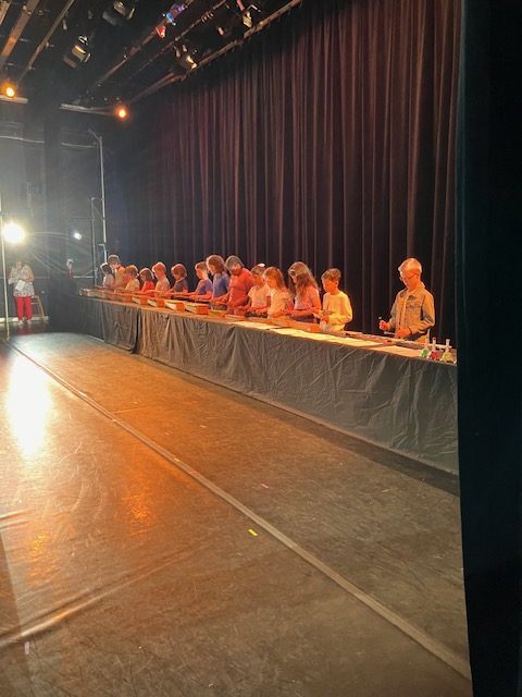 Spectacle de musique de l'école Sainte-Anne