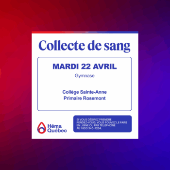 Collecte de sang à l'école Sainte-Anne
